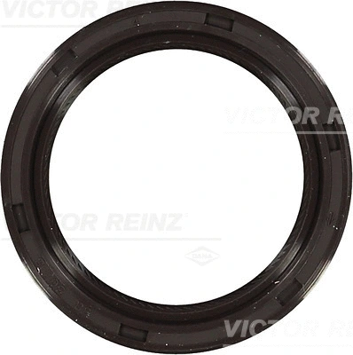 Shaft Seal, crankshaft (81-53256-00)