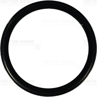 Seal Ring (40-76295-00)