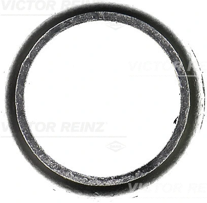 Gasket, exhaust pipe (71-52844-00)