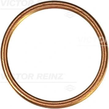 Seal Ring (41-72045-30)