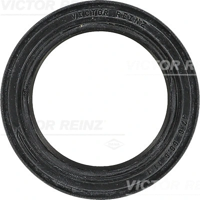 Shaft Seal, camshaft (81-33489-00)