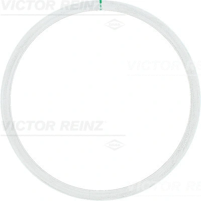 Gasket, cylinder head (61-25315-10)