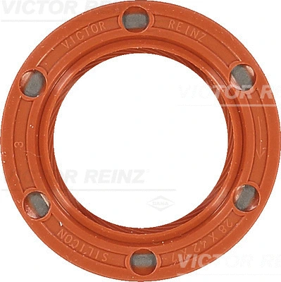Shaft Seal, crankshaft (81-33653-10)
