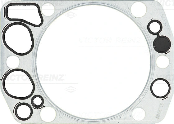 Gasket, cylinder head (61-25275-00)