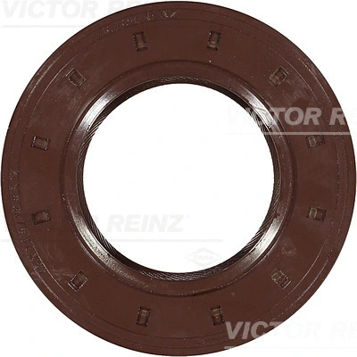 Shaft Seal, crankshaft (81-17328-20)