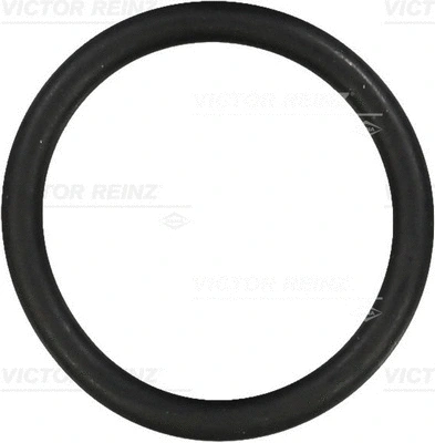 Seal Ring (40-76313-00)