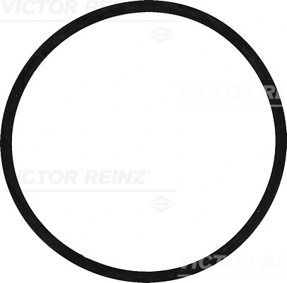 Seal Ring (40-77442-00)