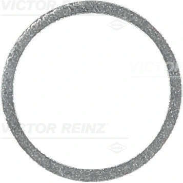 Seal Ring (41-71062-00)