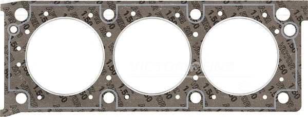 Gasket, cylinder head (61-24516-20)