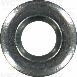 Seal Ring, injector (70-16736-00)