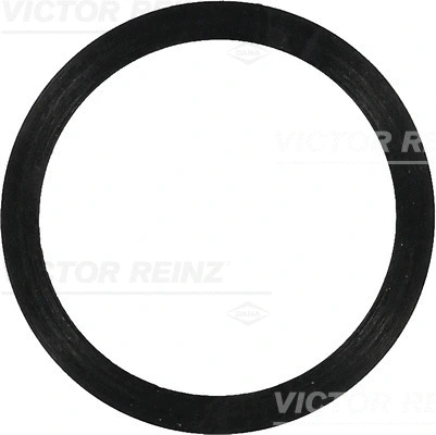 Seal Ring (40-77488-00)