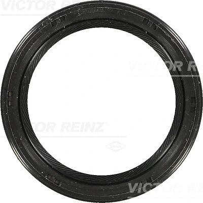 Shaft Seal, crankshaft (81-53273-00)