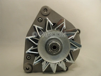 Alternator (118312)