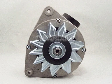 Alternator (118354)