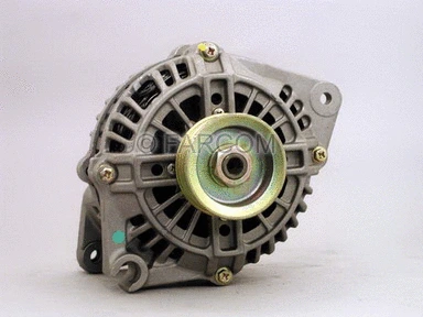 Alternator (111031)