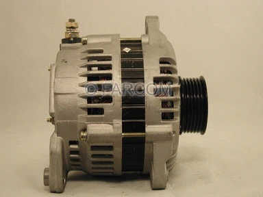 Alternator (119691)