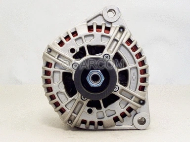 Alternator (111847)