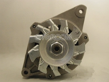 Alternator (119003)