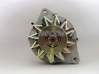 Alternator (119169)