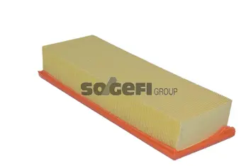 Air Filter (A315)