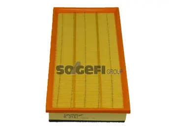 Air Filter (A2161)