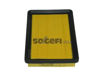 Air Filter (A2128)
