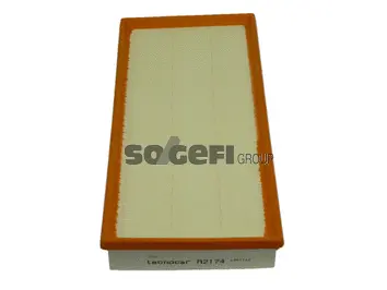 Air Filter (A2174)
