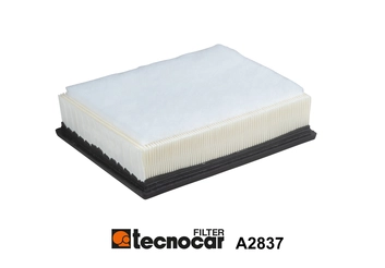 Air Filter (A2837)