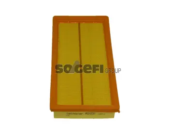 Air Filter (A2031)