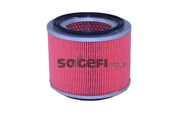 Air Filter (A2307)