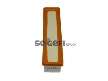 Air Filter (A2141)