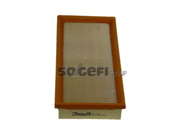 Air Filter (A179)