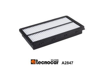 Air Filter (A2847)