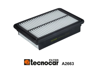 Air Filter (A2663)