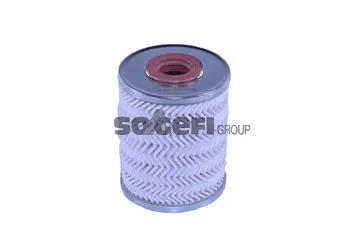 Fuel Filter (N492)