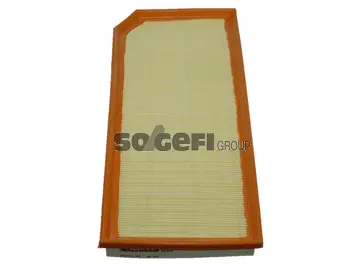 Air Filter (A2355)