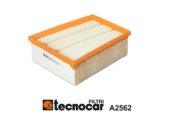 Air Filter (A2562)