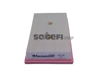 Air Filter (A2176)