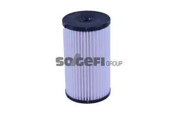 Fuel Filter (N312)