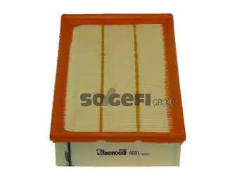 Air Filter (A691)
