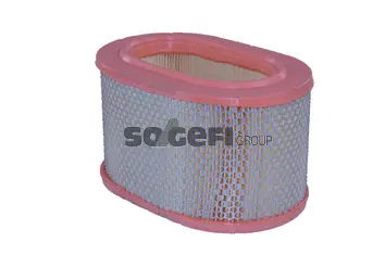 Air Filter (A899)