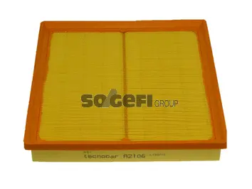 Air Filter (A2106)