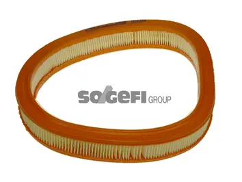 Air Filter (A316)