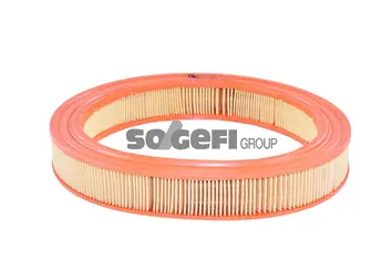 Air Filter (A668)
