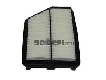 Air Filter (A2252)