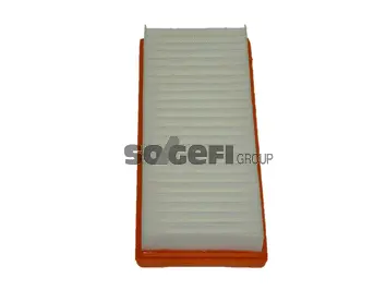 Air Filter (A2441)