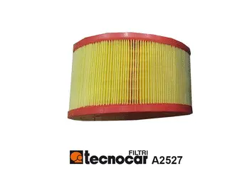 Air Filter (A2527)