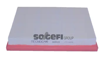 Air Filter (A2419)