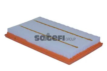 Air Filter (A2506)