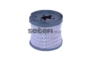 Fuel Filter (N301)